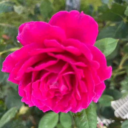 Prestige 1 Bedroom 4 People Hotel apartamentowy