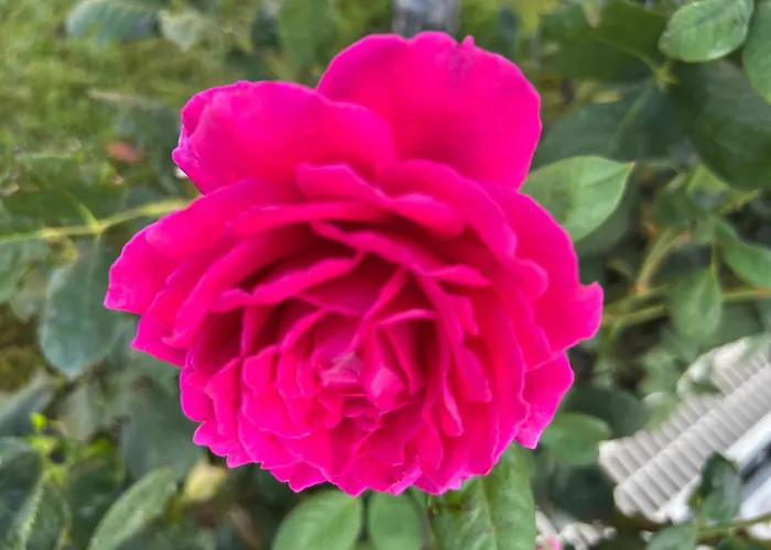 Prestige 1 Bedroom 4 People Апартхотел